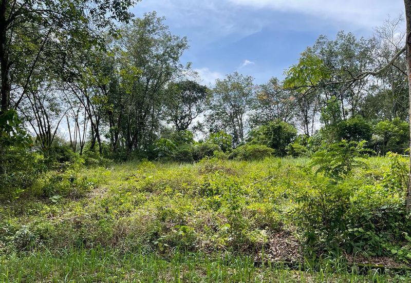 College Heights Garden Resort