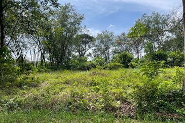 College Heights Garden Resort