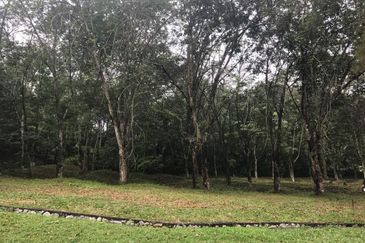 College Heights Garden Resort