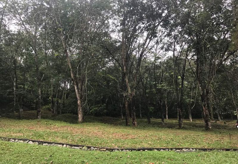 College Heights Garden Resort