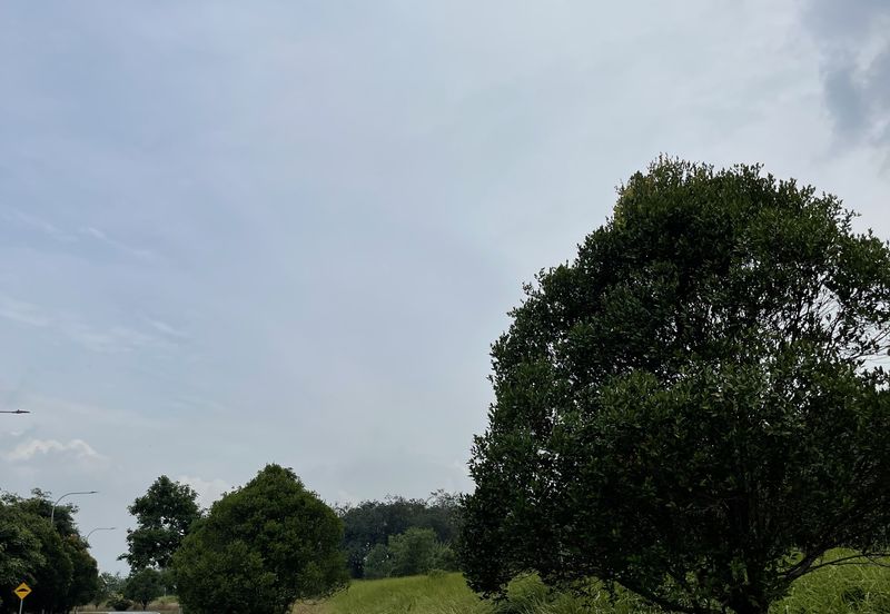 College Heights Garden Resort