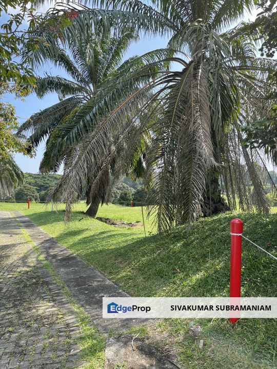 Planters Haven Bungalow lot at Jln Alamanda for Sale, Negeri Sembilan, Seremban