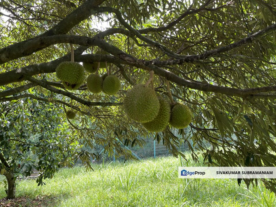 Planters Haven Bungalow lot at Jln Alamanda for Sale, Negeri Sembilan, Seremban