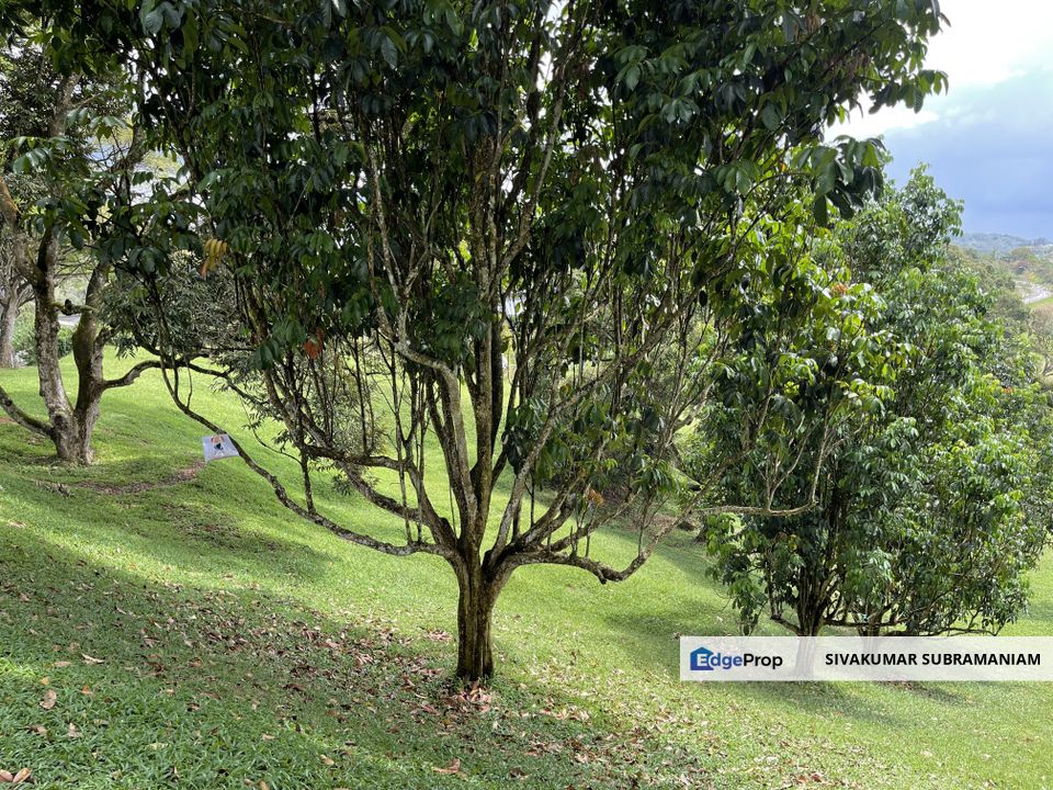 Planters Haven Bungalow lot at Jln Alamanda for Sale, Negeri Sembilan, Seremban