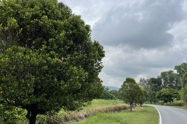 College Heights Garden Resort