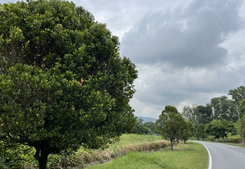 College Heights Garden Resort