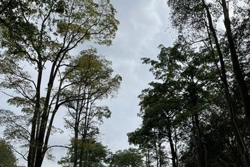 College Heights Garden Resort