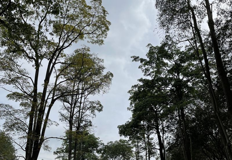 College Heights Garden Resort