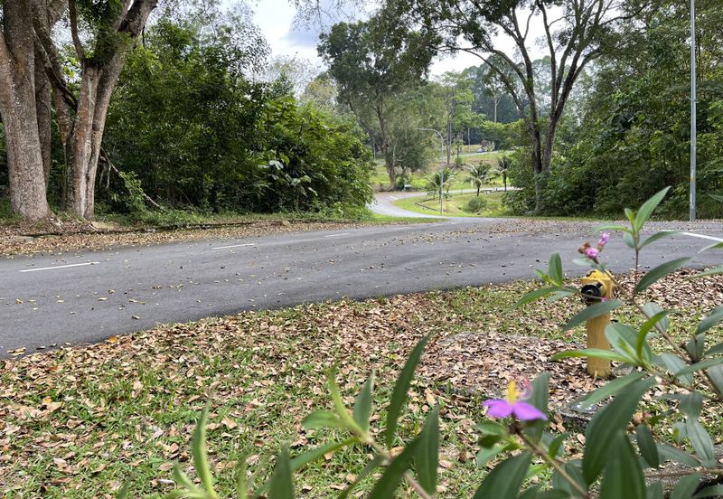 College Heights Garden Resort