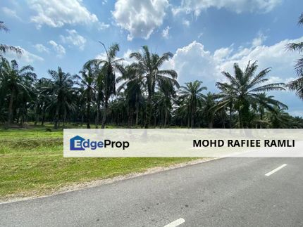 Flat land agriculture Tanjung Sepat Banting suitable for agro farm, Selangor, Banting