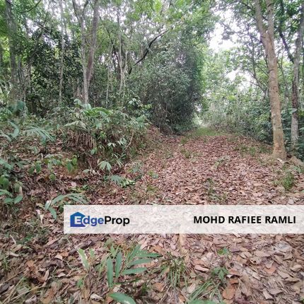 Murah Tanah Pertanian 4 Ekar Berhampiran Pekan Kuala Kelawang Sesuai Untuk Dusun Durian, Negeri Sembilan, Jelebu