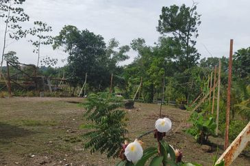 Exclusive Location Corner Bungalow Lot Precint 11 Putrajaya for Sale