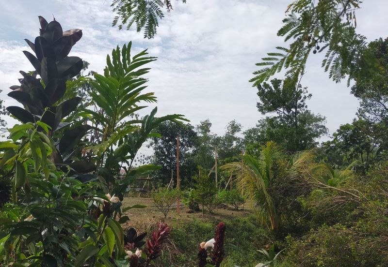 Exclusive Location Corner Bungalow Lot Precint 11 Putrajaya for Sale