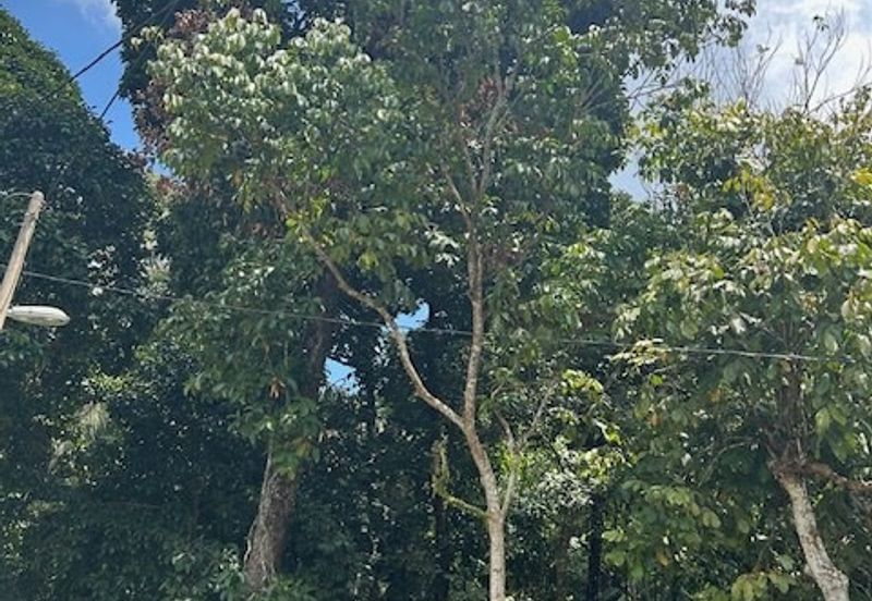 Taman Industri Nibong Tebal