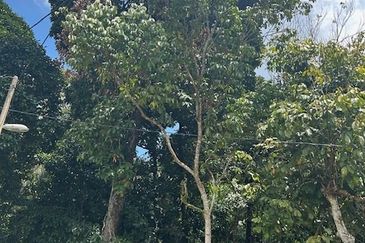 Taman Industri Nibong Tebal