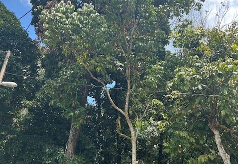 Taman Industri Nibong Tebal