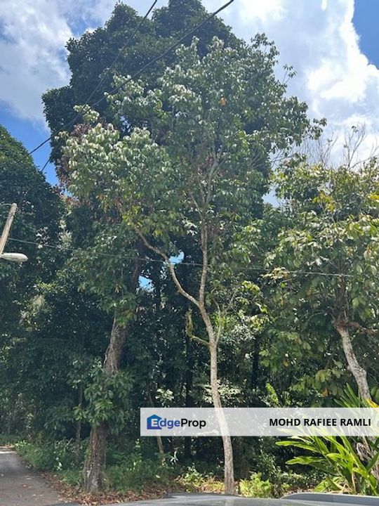 Agriculture Land at Kampung Nanas Sungai Kechil Nibong Tebal Penang , Penang, Nibong Tebal