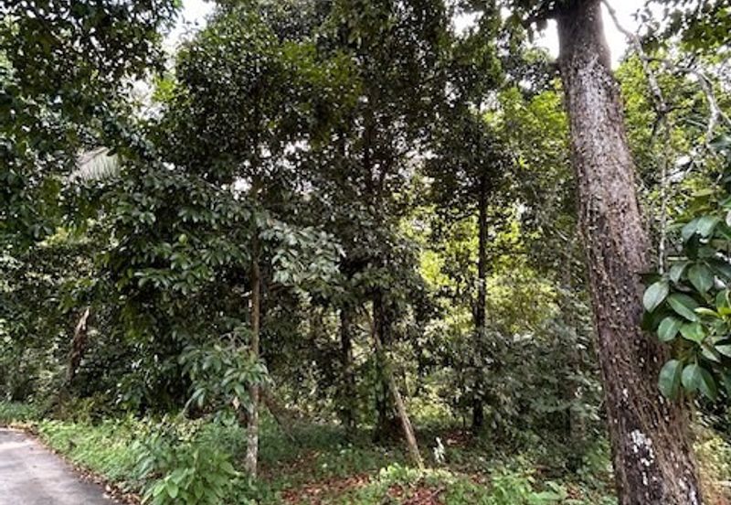 Taman Industri Nibong Tebal