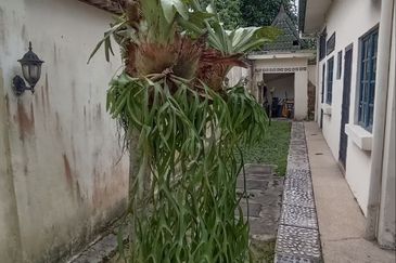 Taman Tasik Titiwangsa