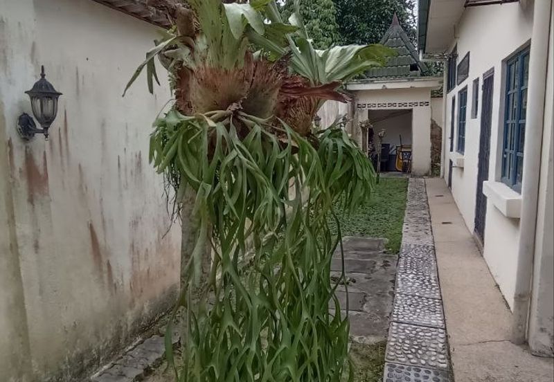 Taman Tasik Titiwangsa