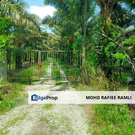 Kebun Sawit 5 Ekar Tepi Jalan Besar Mukim Bidor Perak untuk Dijual, Perak, Batang Padang