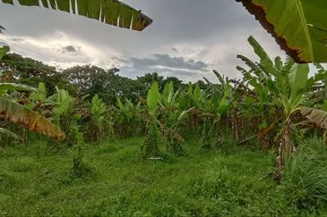Kampung Tasek Junjung