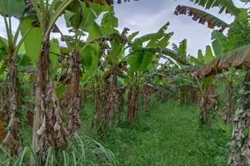 Kampung Tasek Junjung