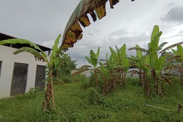 Kampung Tasek Junjung