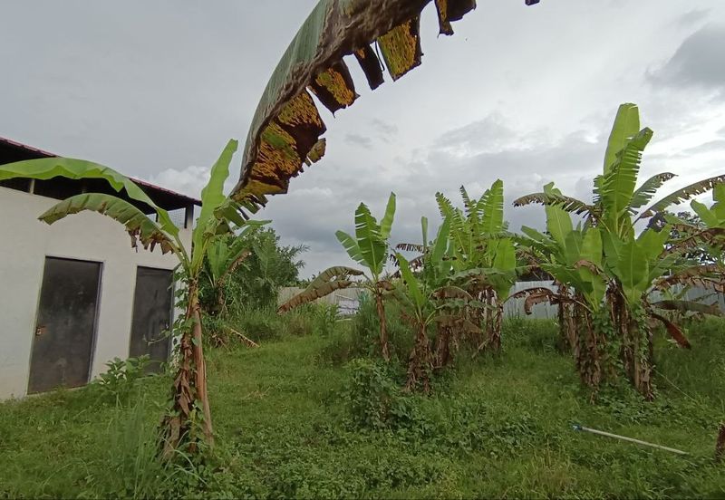 Kampung Tasek Junjung