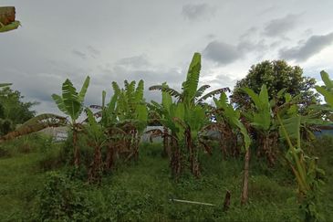 Kampung Tasek Junjung