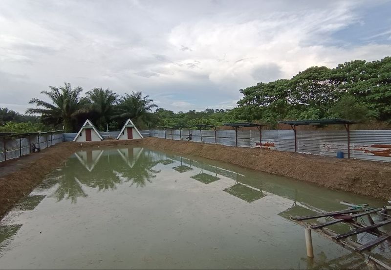 Kampung Tasek Junjung