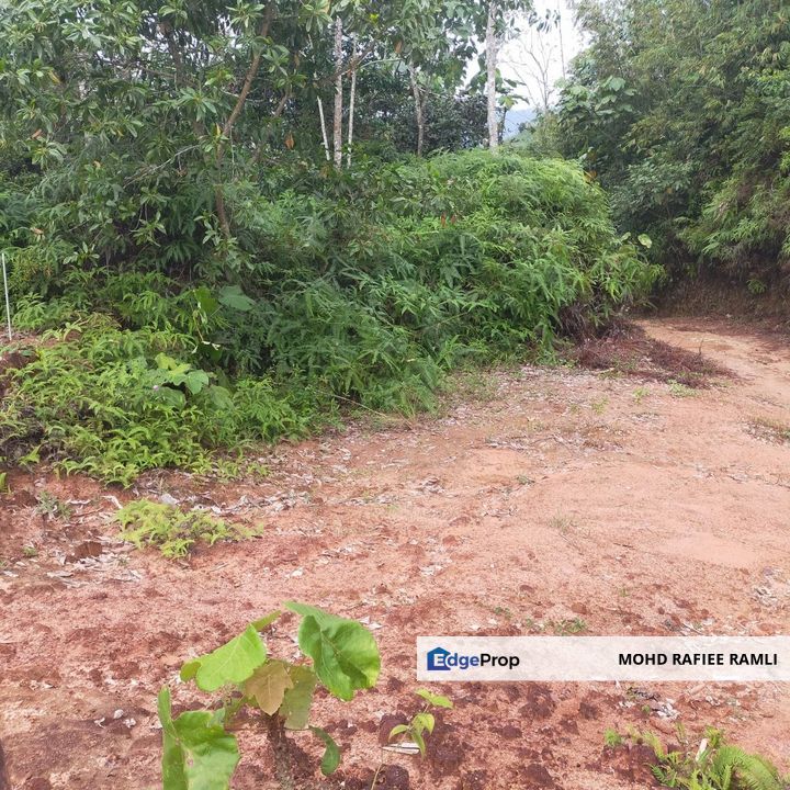 Lot Banglo Geran Individu Sungai Lui Batu 21 Hulu Langat Selangor Untuk Dijual, Selangor, Hulu Langat