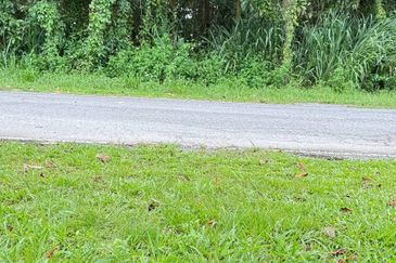 Kampung Abu Bakar Baginda