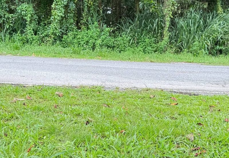 Kampung Abu Bakar Baginda