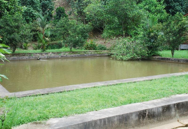 JALAN KAMPUNG JANDA BAIK