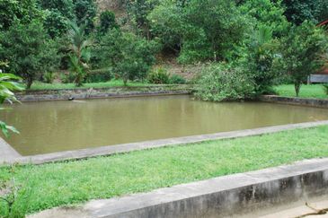 JALAN KAMPUNG JANDA BAIK