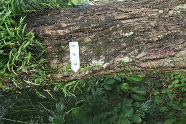 Beranang Selangor Tanah Tepi Jalan Freehold