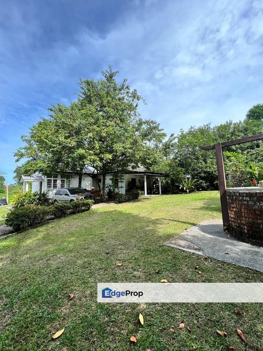 Freehold Land, Tepi Jalan, Kuang Selangor Ada Dusun Dan Kolam Ternak Ikan, Selangor, Kuang