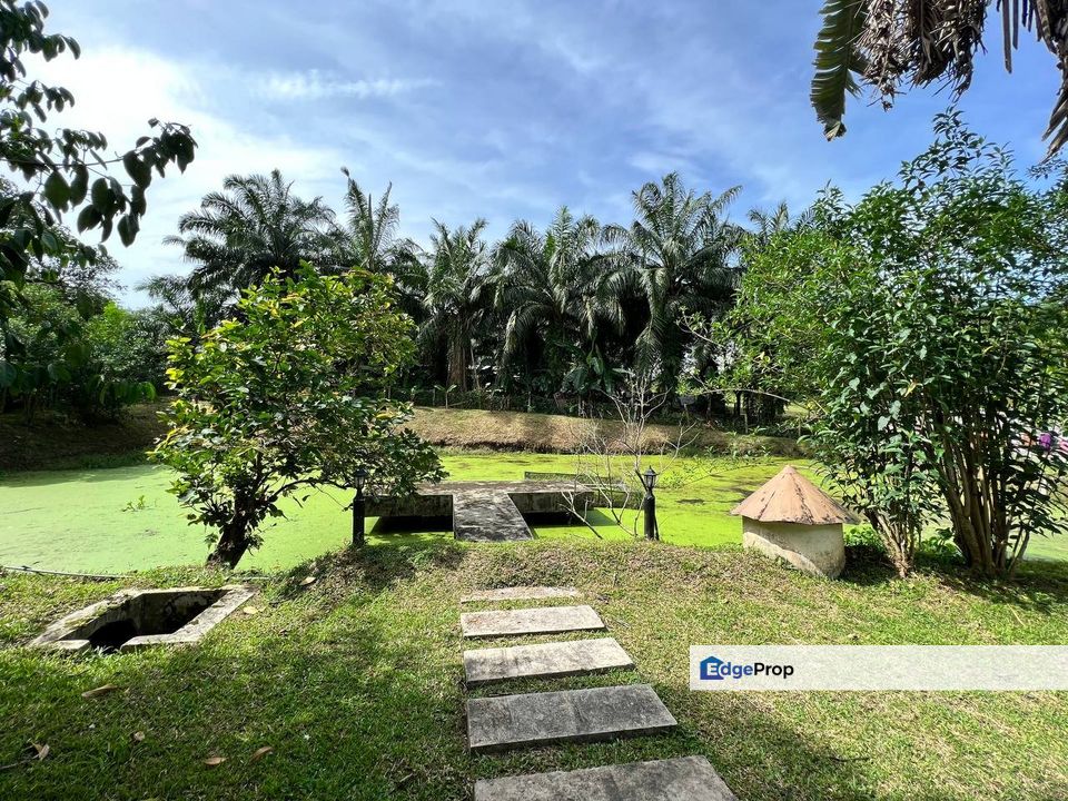 Freehold Land, Tepi Jalan, Kuang Selangor Ada Dusun Dan Kolam Ternak Ikan, Selangor, Kuang