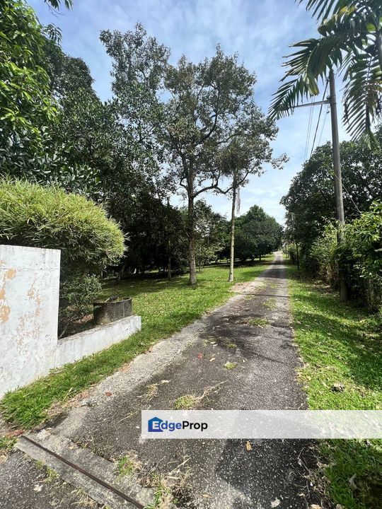 Freehold Land, Tepi Jalan, Kuang Selangor Ada Dusun Dan Kolam Ternak Ikan, Selangor, Kuang