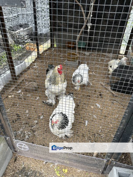 FREEHOLD FULLY FURNISH, NEWLY RENO, Taman Sekamat Jaya Kajang, Selangor, Kajang