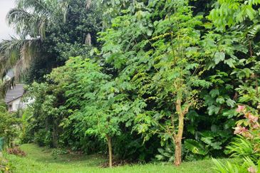 Jalan Equine, Taman Equine