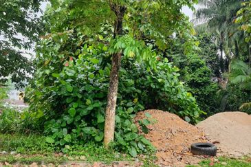 Jalan Equine, Taman Equine