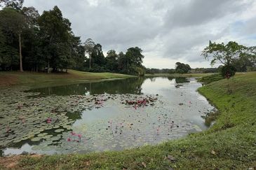 Tiara Melaka Golf & Country Club