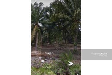 Tanah Sawit Ladang Batu Kuala Langat