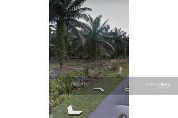 Tanah Sawit Ladang Batu Kuala Langat