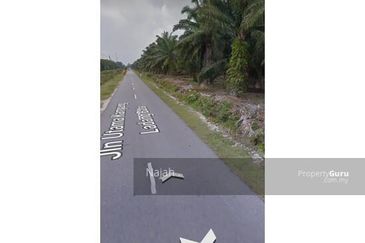 Tanah Sawit Ladang Batu Kuala Langat