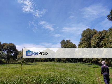 ⭐FREEHOLD NON BUMI 🌳8 ACRE LAND DUSUN DURIAN FARM KEBUN BUAH MANTIN , Negeri Sembilan, Mantin
