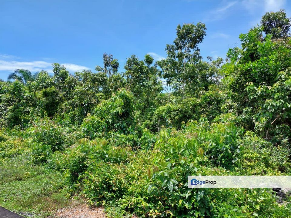 👍FREEHOLD MALAY RESERVE 3.1 ACRE LAND TANAH PERTANIAN, Negeri Sembilan, Port Dickson