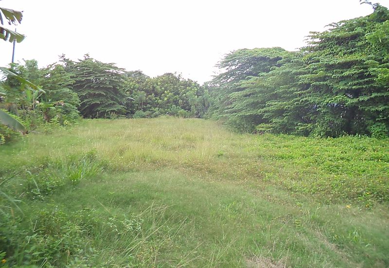 Kampung Melayu Seri Kundang